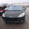 PEUGEOT 1007
