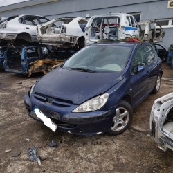 Peugeot	307 (2001)